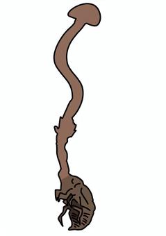 虫の頭から生えたキノコ　茶色