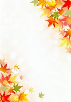 Illustration, maple, frame, autumn, 