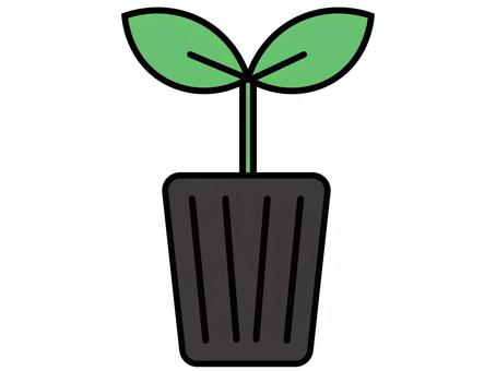 ポットから生えている苗のイラスト 苗,ポット,双葉,植物,アイコン,農業,園芸,菜園,家庭菜園,野菜のイラスト素材