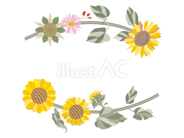 花の飾り枠153＿夏の花　ひまわり 花,ひまわり,向日葵のイラスト素材