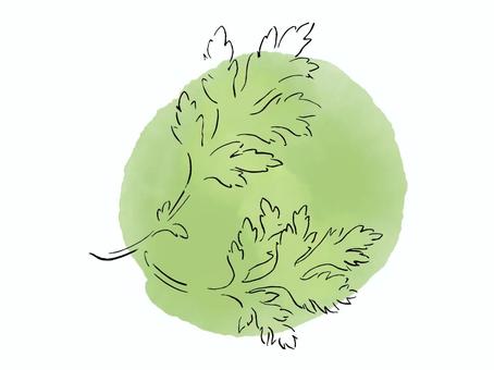 シンプルな線画で描いたヨモギ・背景色あり ヨモギ,シンプル,線画,背景色,水彩,手描き,手書き,ベクター,グリーン,薬草のイラスト素材