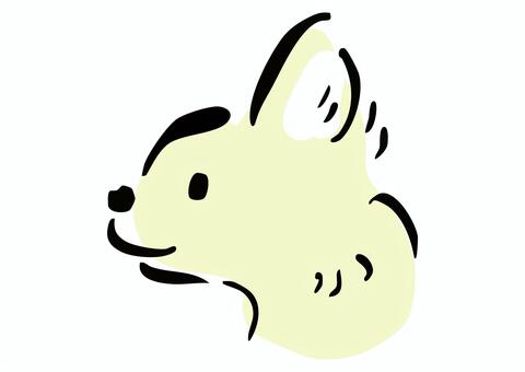 チワワのイラスト　横顔 チワワ,横顔,手描き風,イラスト,犬,かわいい,わんこ,ペット,動物,シンプルのイラスト素材