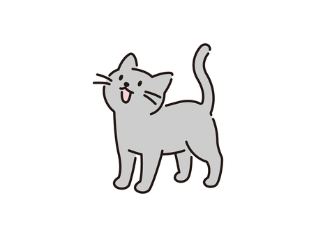 鳴く猫のシンプルイラスト カラー 鳴く猫のシンプルイラスト カラー 猫,ペット,家猫,飼い猫,野良猫,にゃーん,鳴き声,グレー,かわいい,スコティッシュのイラスト素材