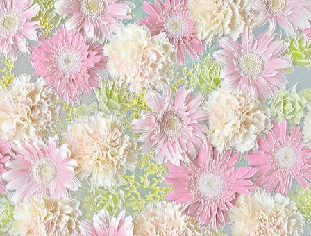 gerbera and carnation. flower relief, JPG gerbera and carnation. flower relief, flower, elegance, elegant, JPG