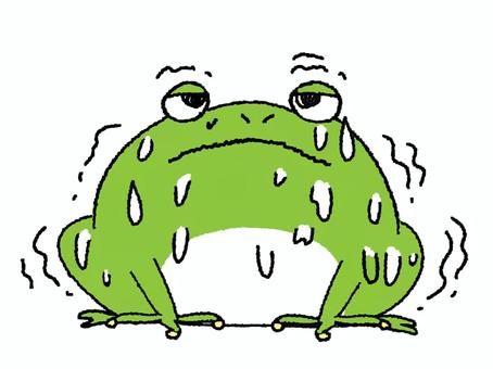 震えるカエル
