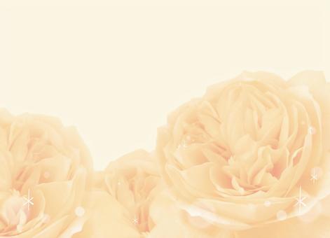 バラの背景オレンジ色 バラ,薔薇,オレンジ色,花,背景,テクスチャ,花柄,花模様,華やか,上品のイラスト素材