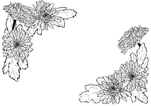 中菊の角フレーム2種 墨筆 中菊の角フレーム2種 墨筆 中菊,菊,花,植物,秋,葉,お彼岸,仏花,お供え,黄色のイラスト素材