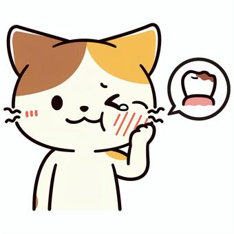 奥歯が虫歯で頬が腫れている可愛い三毛猫 猫,虫歯,歯,吹き出し,痛い,腫れる,涙目,症状,治療,三毛猫のイラスト素材