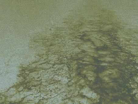 ひび割れた地表のような柄の砂状ノイズ抽象 抽象,ストーン調,ひび割れ,地表,ノイズ,砂,ざらつき,ざらざら,石調,モスグリーンのイラスト素材