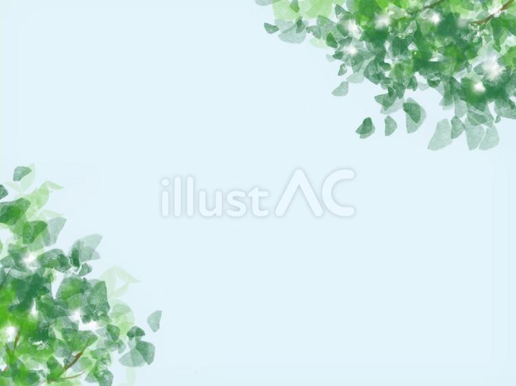 木漏れ日 春,夏,木々のイラスト素材