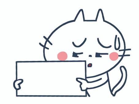 困りながらプレートを見せる猫