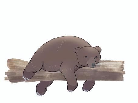 ヒグマ(寝る) ヒグマ(寝る) ヒグマ,クマ,動物,茶色,寝るのイラスト素材