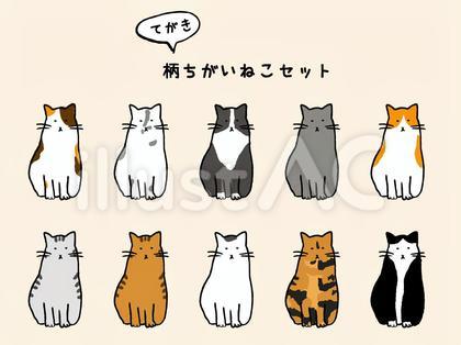 手描き柄違いねこセット