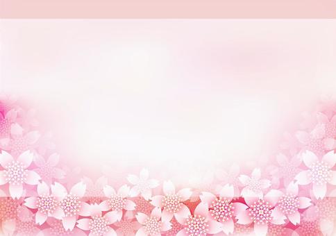 Cherry Blossoms & Frames 16, flower, cherry blossoms, spring, JPG and AI