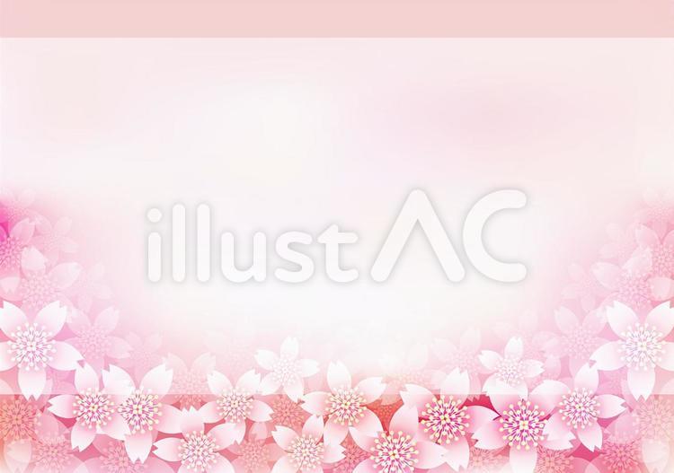 桜の花＆フレーム16 花,桜,春のイラスト素材