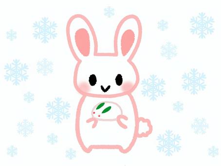 兔子與雪兔, 幸, 兔, 可爱的, JPG