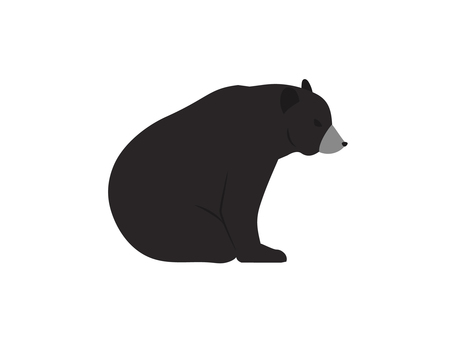 目つきが怖いい座る熊 熊,ヒグマ,座る,害獣,リアル,全身,主線なし,カラー,哺乳類,野生動物のイラスト素材