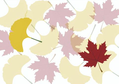 イチョウと紅葉の背景画像