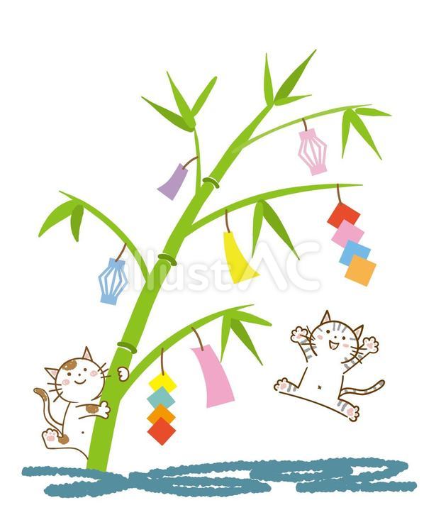 七夕かざりに喜ぶ猫 七夕,七月,短冊のイラスト素材
