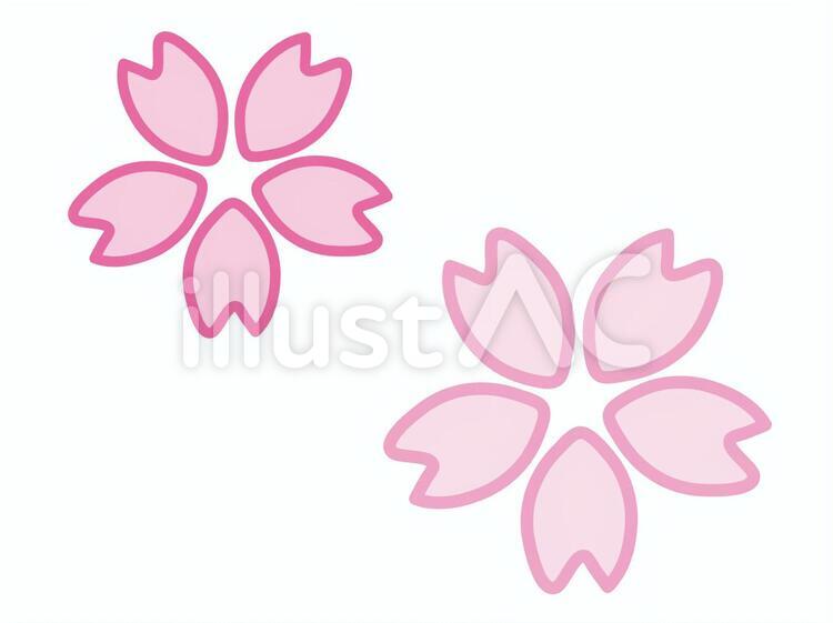 桜 さくら,サクラ,花のイラスト素材