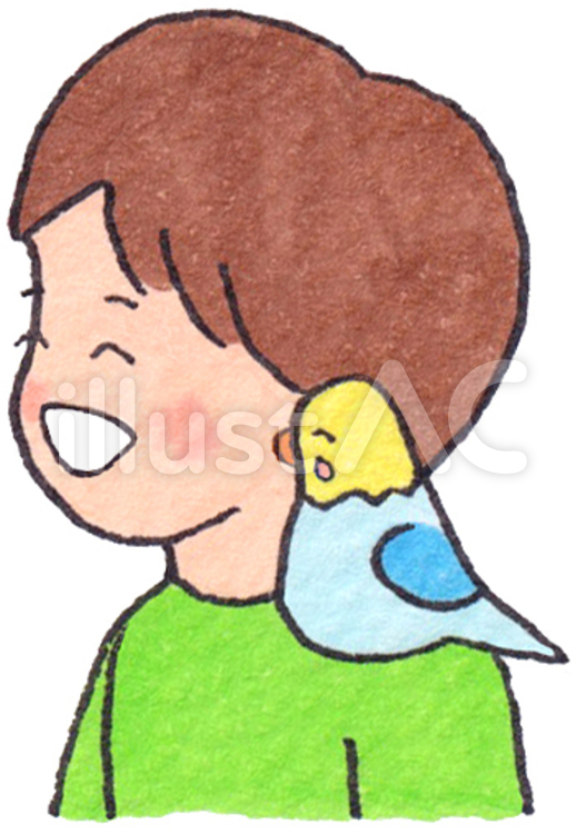 インコと男の子 インコ,男の子,セキセイインコのイラスト素材