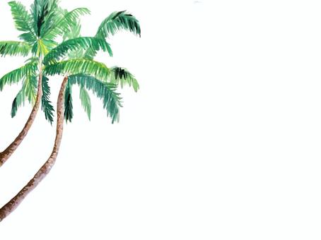 Illustration, palm, palm tree, margin, 