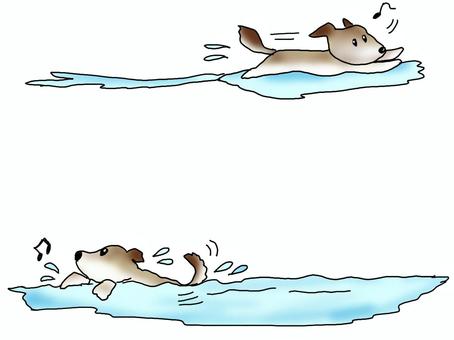 プールで水遊びを満喫する犬 犬,プール,夏,犬かき,水,涼,楽しい,音符,遊び,かわいいのイラスト素材