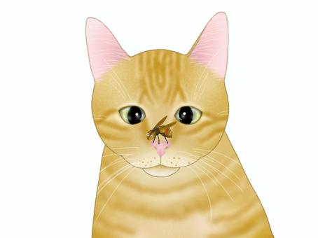 ヘン顔の猫 猫,子猫,かわいい,手書き,茶とら,茶白,茶縞,しましま,蜂,刺すのイラスト素材