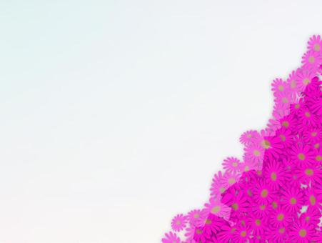 背景2942