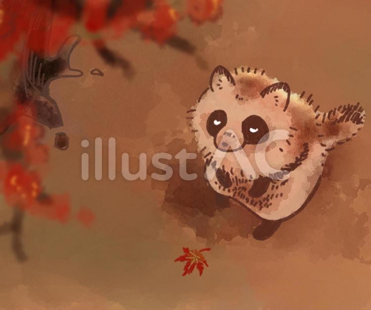 もみじとたぬき たぬき,動物,秋のイラスト素材