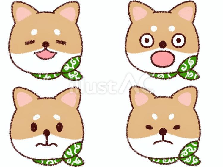 柴犬の表情（嬉しいびっくり困ったムスッ） 犬,柴犬,豆柴のイラスト素材