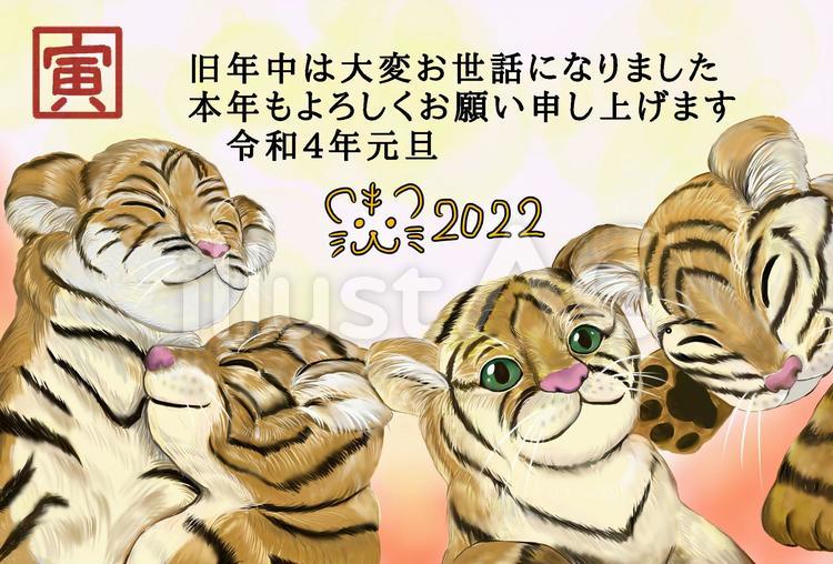 年賀状　トラの兄弟　挨拶文付き 年賀状,寅,虎のイラスト素材