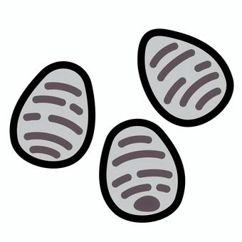 小芋　白黒 小芋,白黒,里芋,根菜,野菜,イモ,コイモのイラスト素材