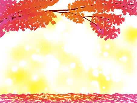 秋晴れのもみじ狩りのイメージ_5 もみじ,楓,紅葉狩り,落ち葉,枯れ葉,葉,葉っぱ,枝,たくさん,大量のイラスト素材
