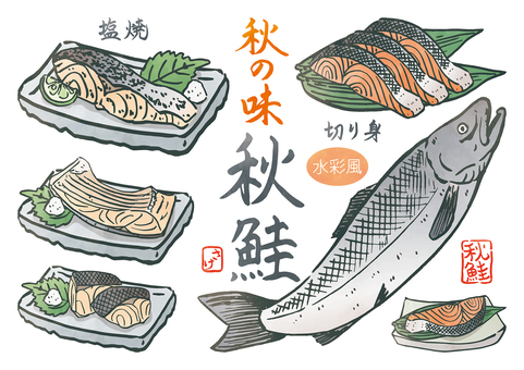 筆書き-秋の味秋鮭-水彩風 秋,秋の味覚,秋鮭,魚,サケ,サーモン,鮮魚,塩焼,切り身,筆文字のイラスト素材