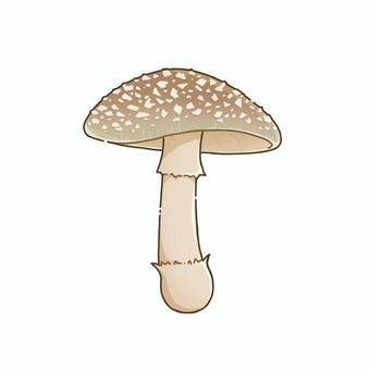 テングタケのイラスト きのこ,キノコ,菌類,菌,植物,自然,山,秋,きのこ狩り,キノコ狩りのイラスト素材