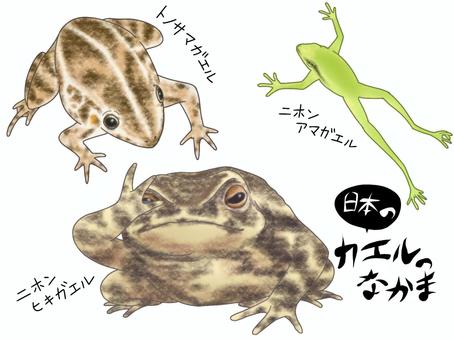 Japanese frogs, JPG and PNG Japanese frogs, , JPG and PNG