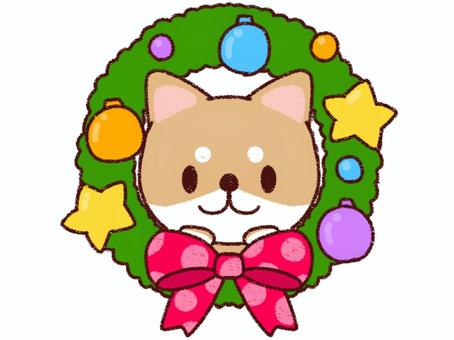 柴犬のクリスマスリース 犬,柴犬,豆柴,赤柴,動物,ペット,かわいい,手描き風,キャラクター,カット素材のイラスト素材