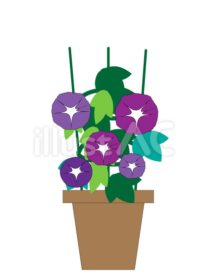シンプルな夏の朝顔の鉢植えのイラスト