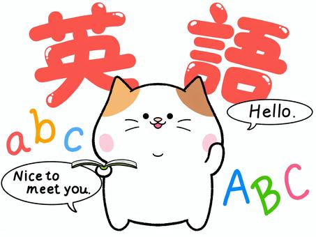 ゆるかわ三毛猫の英語 猫,三毛猫,英語,かわいい,ゆるい,ゆるかわ,動物,ほのぼの,キャラクター,教科のイラスト素材