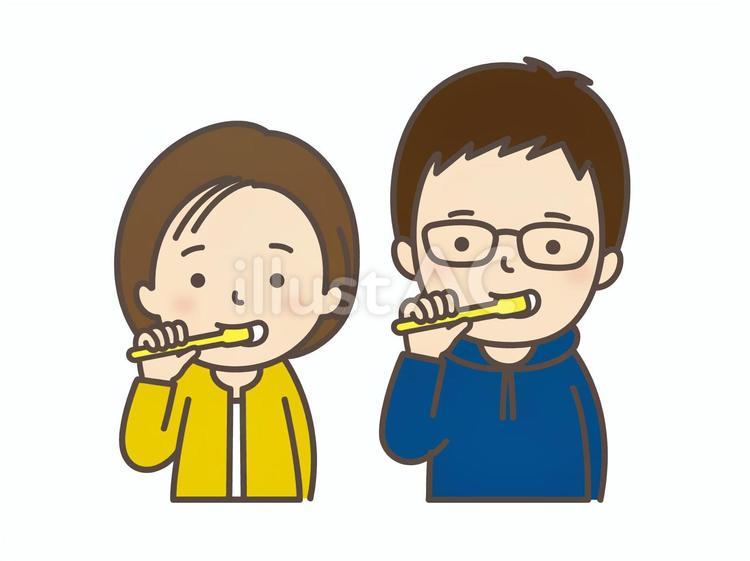 歯磨きする夫婦 歯磨き,ピカピカ,習慣のイラスト素材