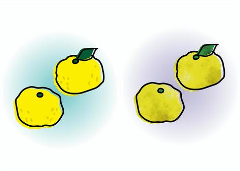 Yuzu handwritten style illustration 2, JPG, PNG and AI Yuzu handwritten style illustration 2, grapefruit, yuzu, yellow, JPG, PNG and AI