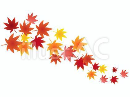 紅葉のライン