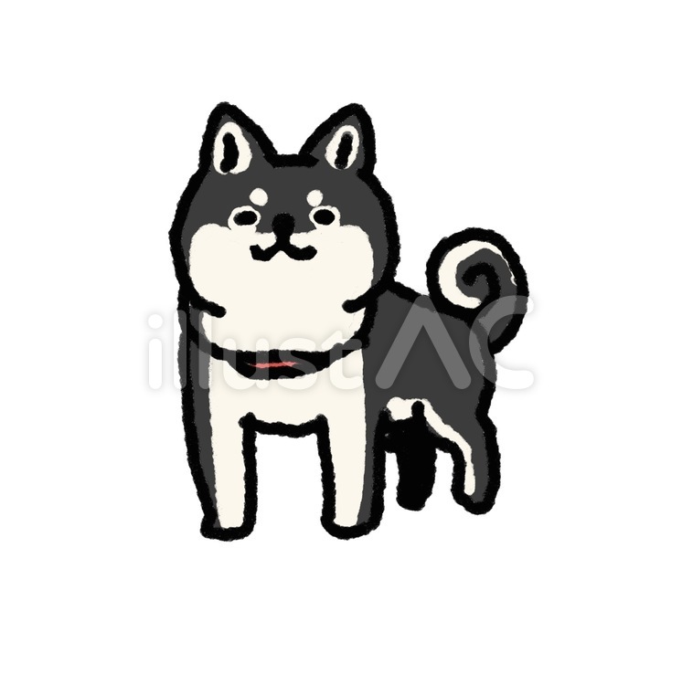  微笑むかわいい黒柴 柴犬,かわいい,黒柴のイラスト素材