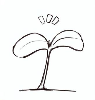 芽生え 芽生え,双葉,発芽,植物,葉っぱ,成長のイラスト素材