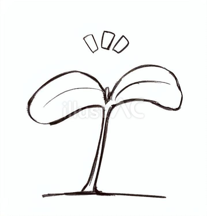 芽生え 芽生え,双葉,発芽のイラスト素材