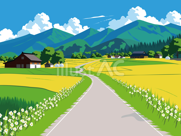 道がある田舎の夏風景 道,田舎,夏のイラスト素材