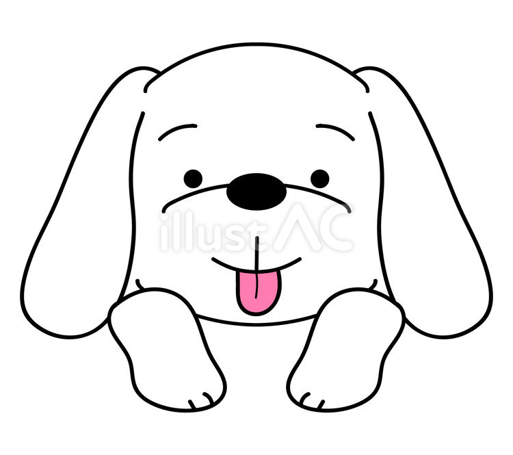 おねだり顔の白い犬 犬,ペット,ミニチュアダックスフンドのイラスト素材
