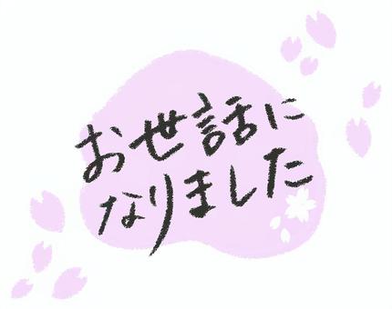 お世話になりました（文字） お世話になりました,感謝,お礼,筆文字,文字,桜,手書き,シンプル,ピンク,透過のイラスト素材