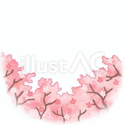 桜02